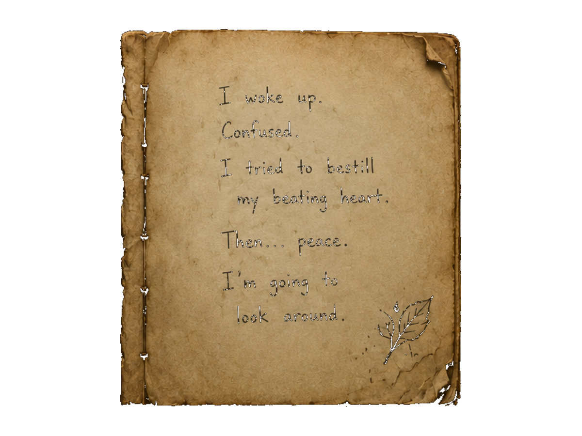 Sawa's journal, page 1